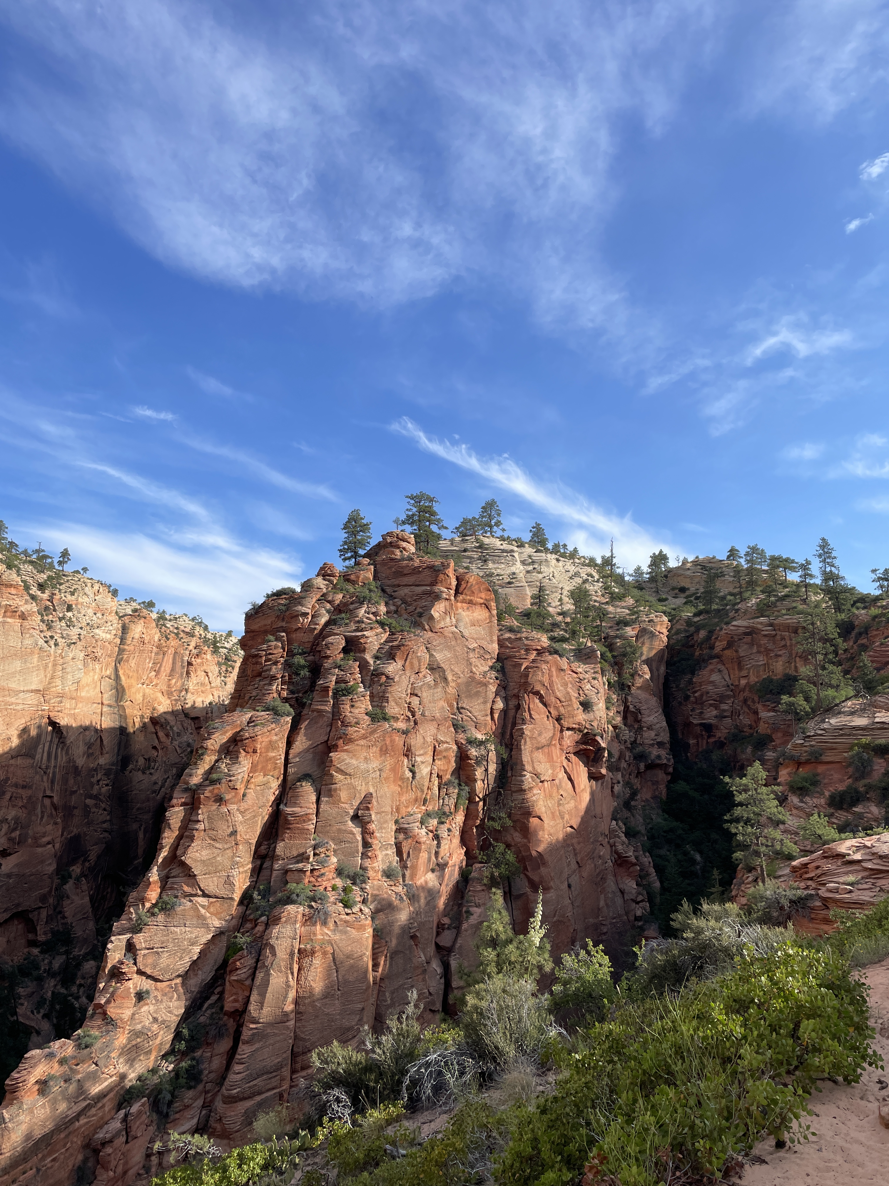 View from Scout's Lookout in Zion National Park