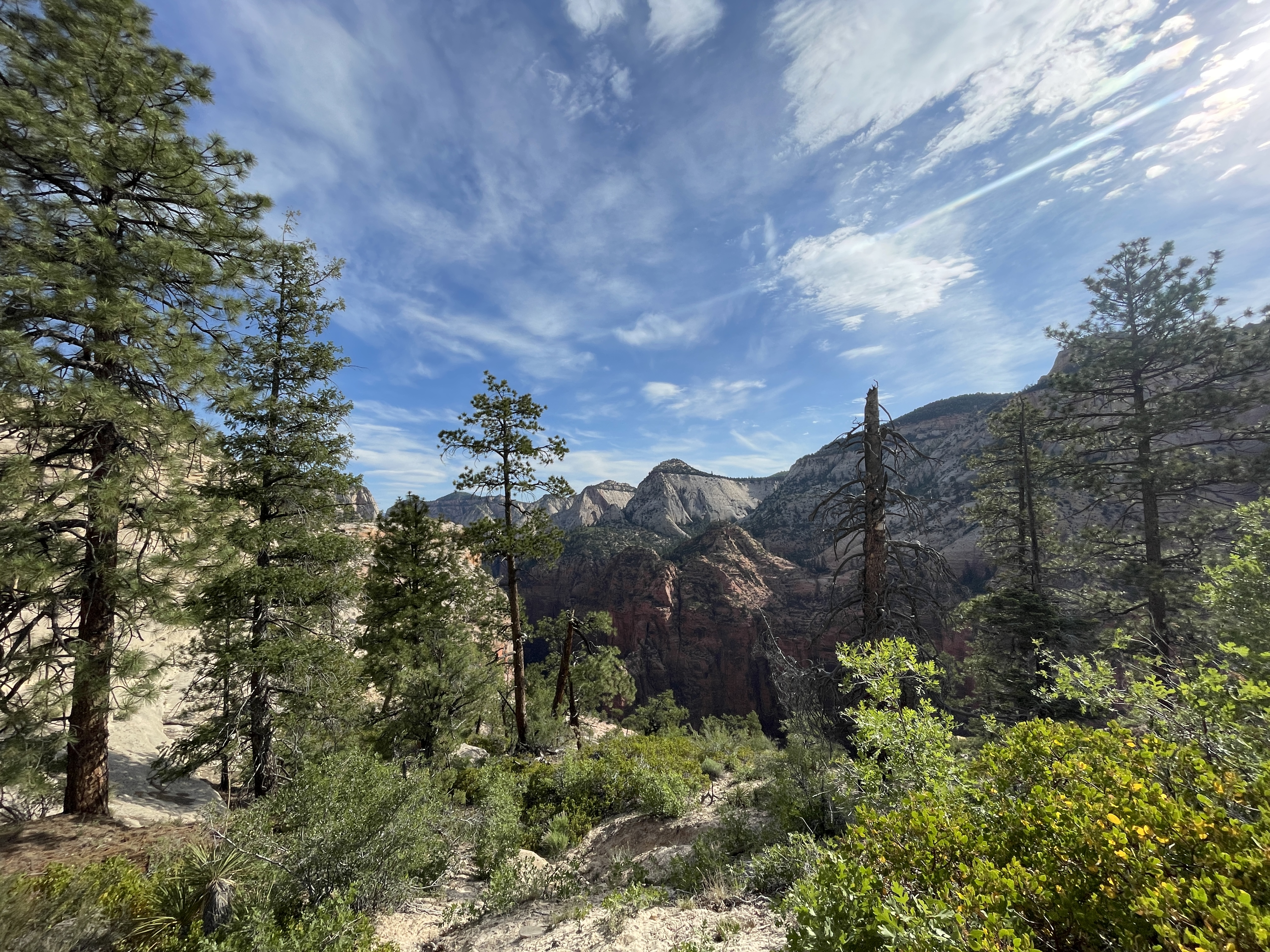 View after passing Scout Lookout in Zion National park