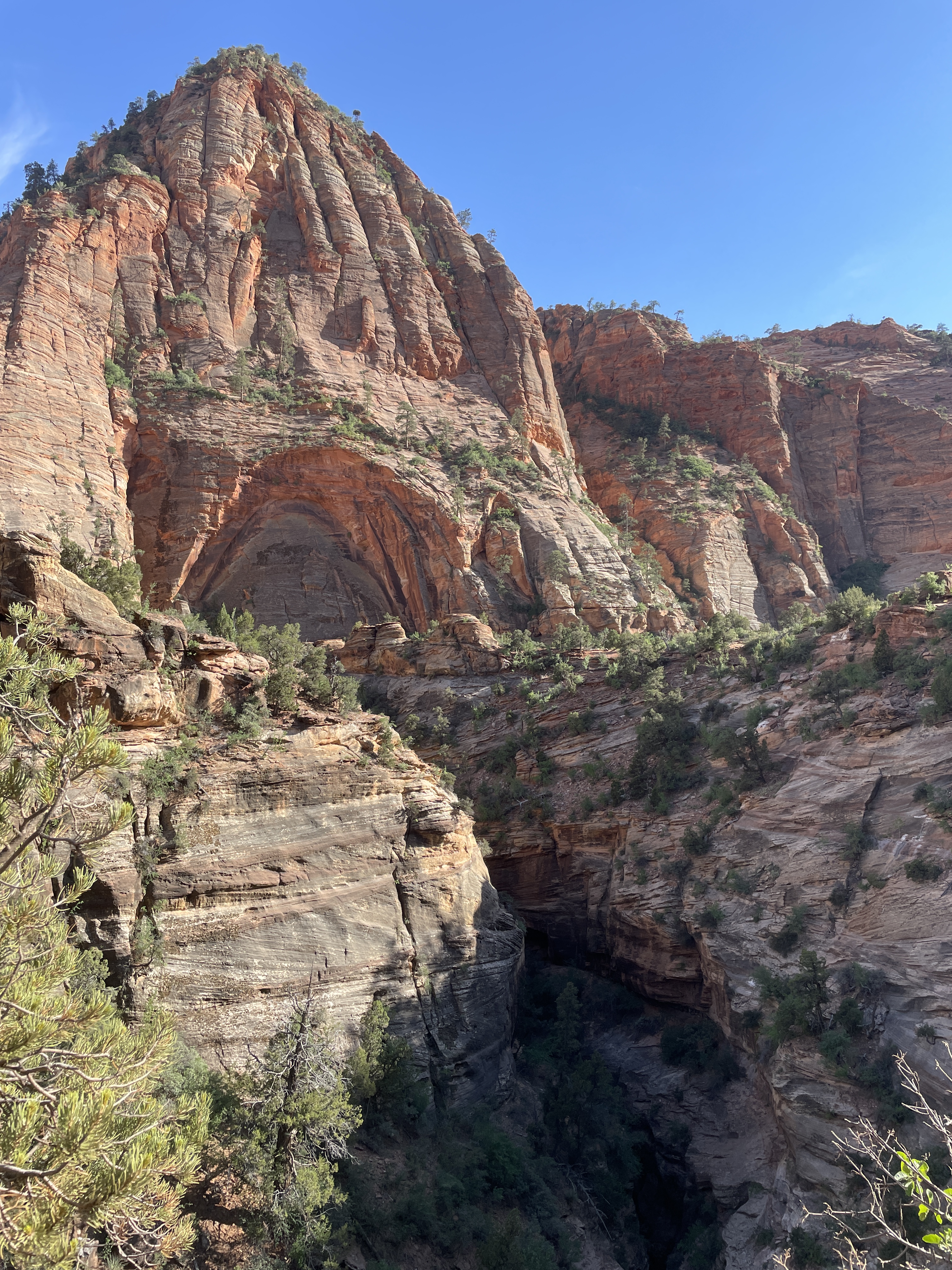 Midway through the Canyon Overlook Trail Hike