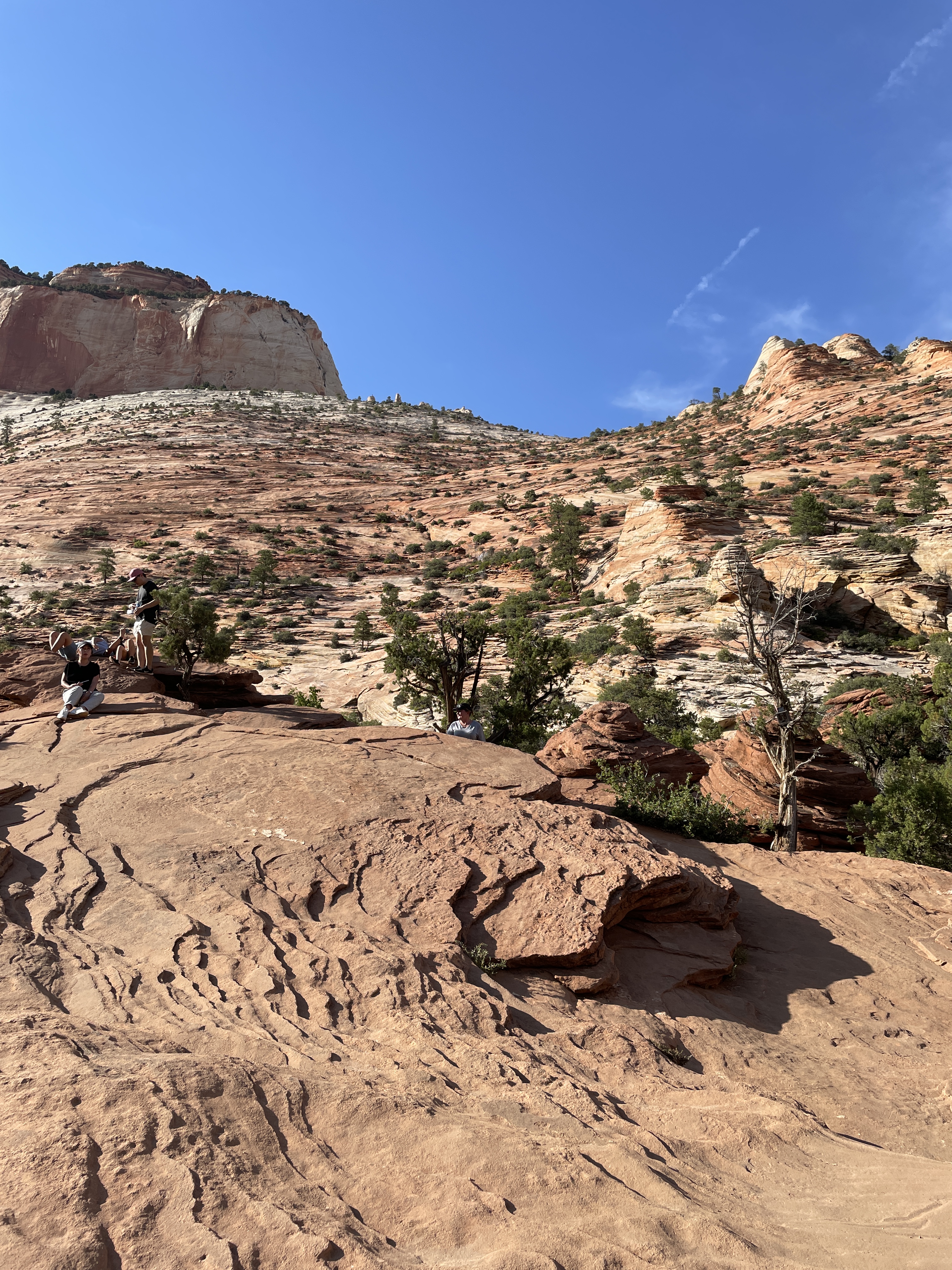 Interior view of the Canyon Overlook Trail at Zion National Park