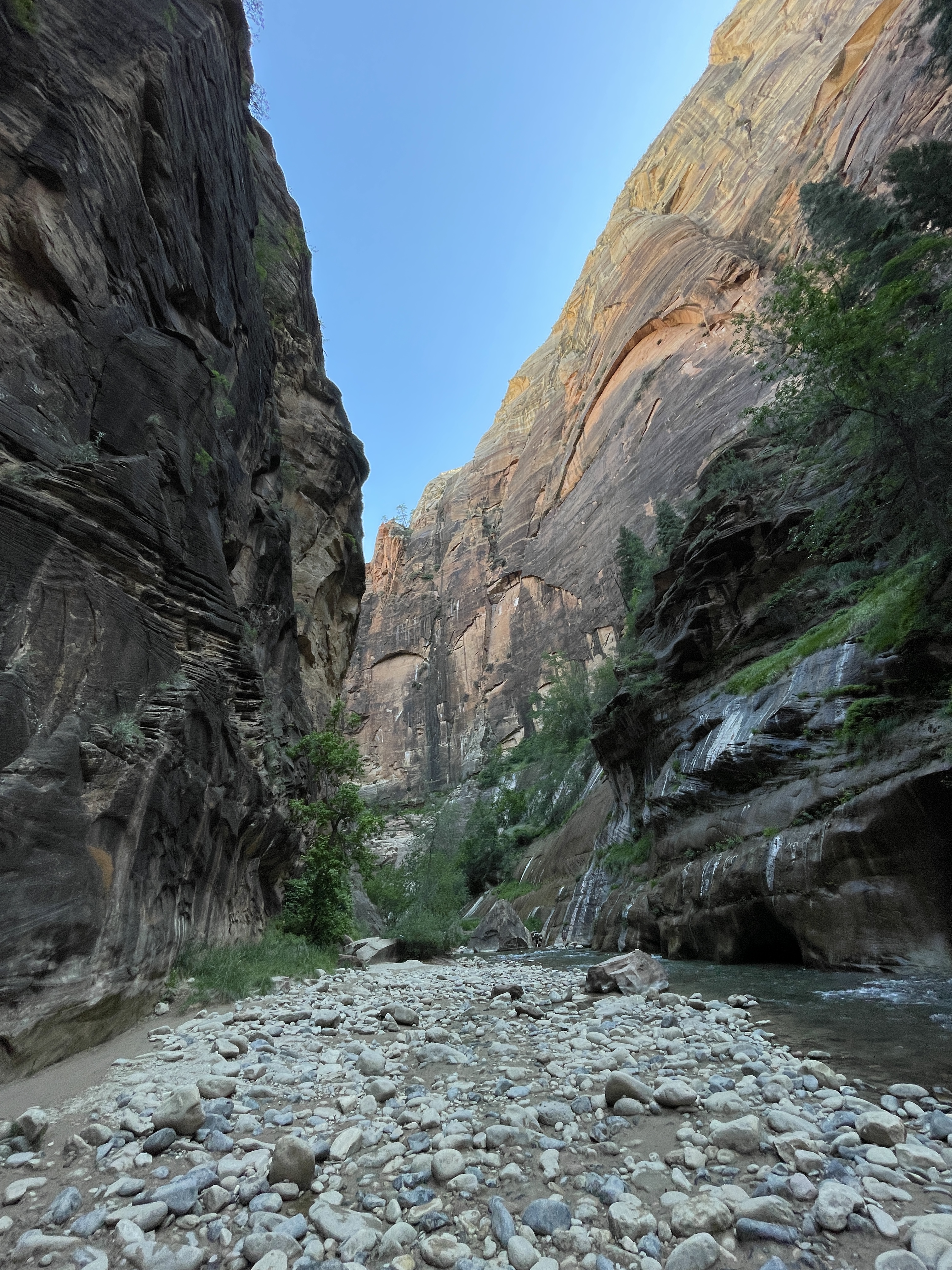 View from inside the Canyon in The Narrows